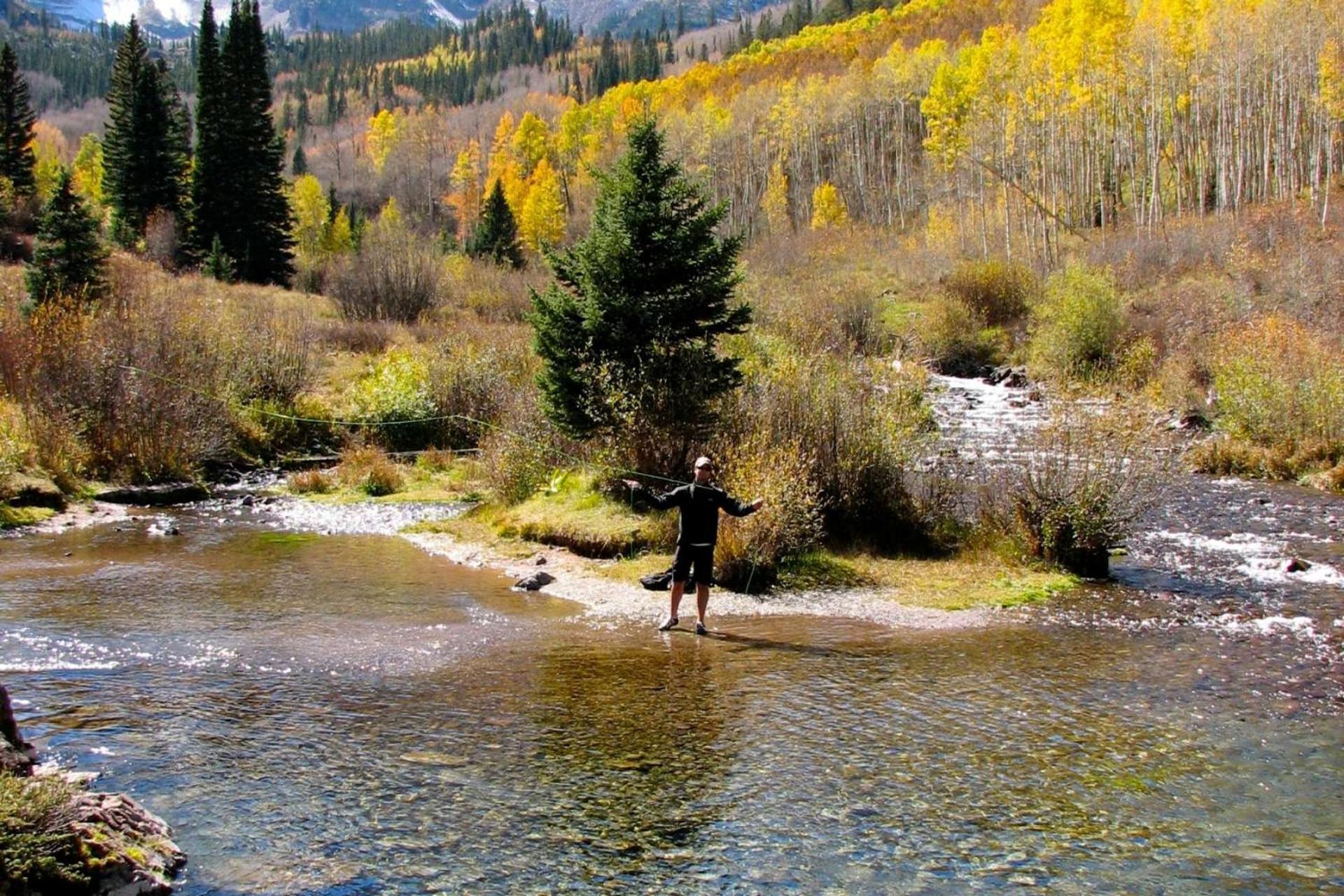 Chaparral Aspen Ranch Cabin Woody Creek エクステリア 写真